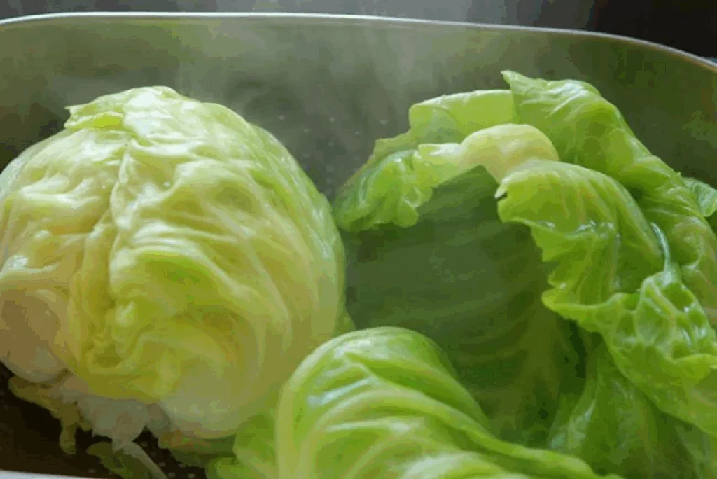 Lõi Bắp Hoa Hấp Bắp cải