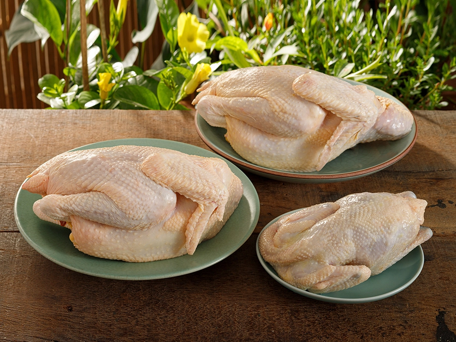 gà tre nấu món gì ngon